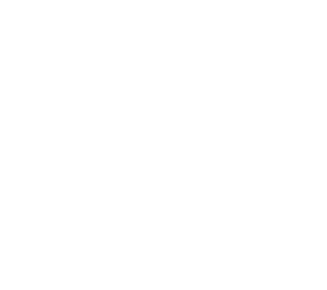 Trip Advisor Certificate of Excellence 2019