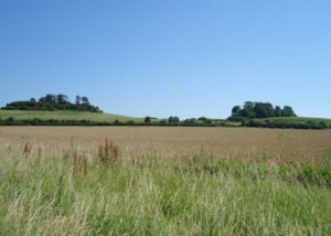 Chequers Burcot things to do Wittenham Clumps
